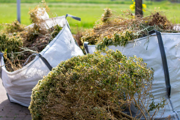 Best Professional Junk Removal  in Eureka, KS